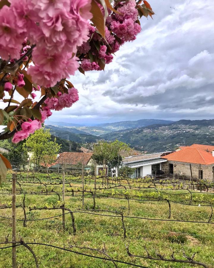 Hotel Vald'Aregos - Douro Resende Exteriér fotografie