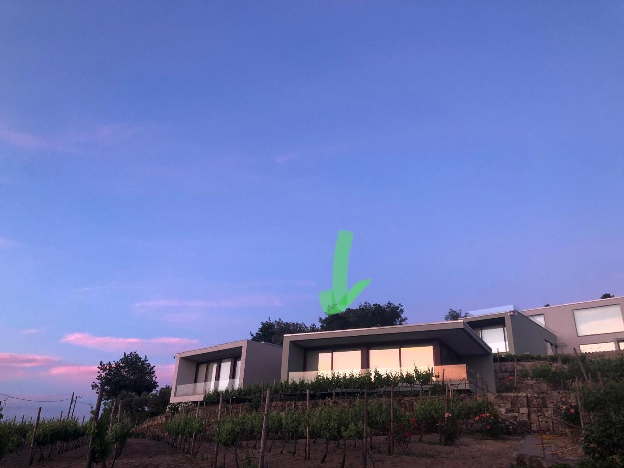 Hotel Vald'Aregos - Douro Resende Exteriér fotografie