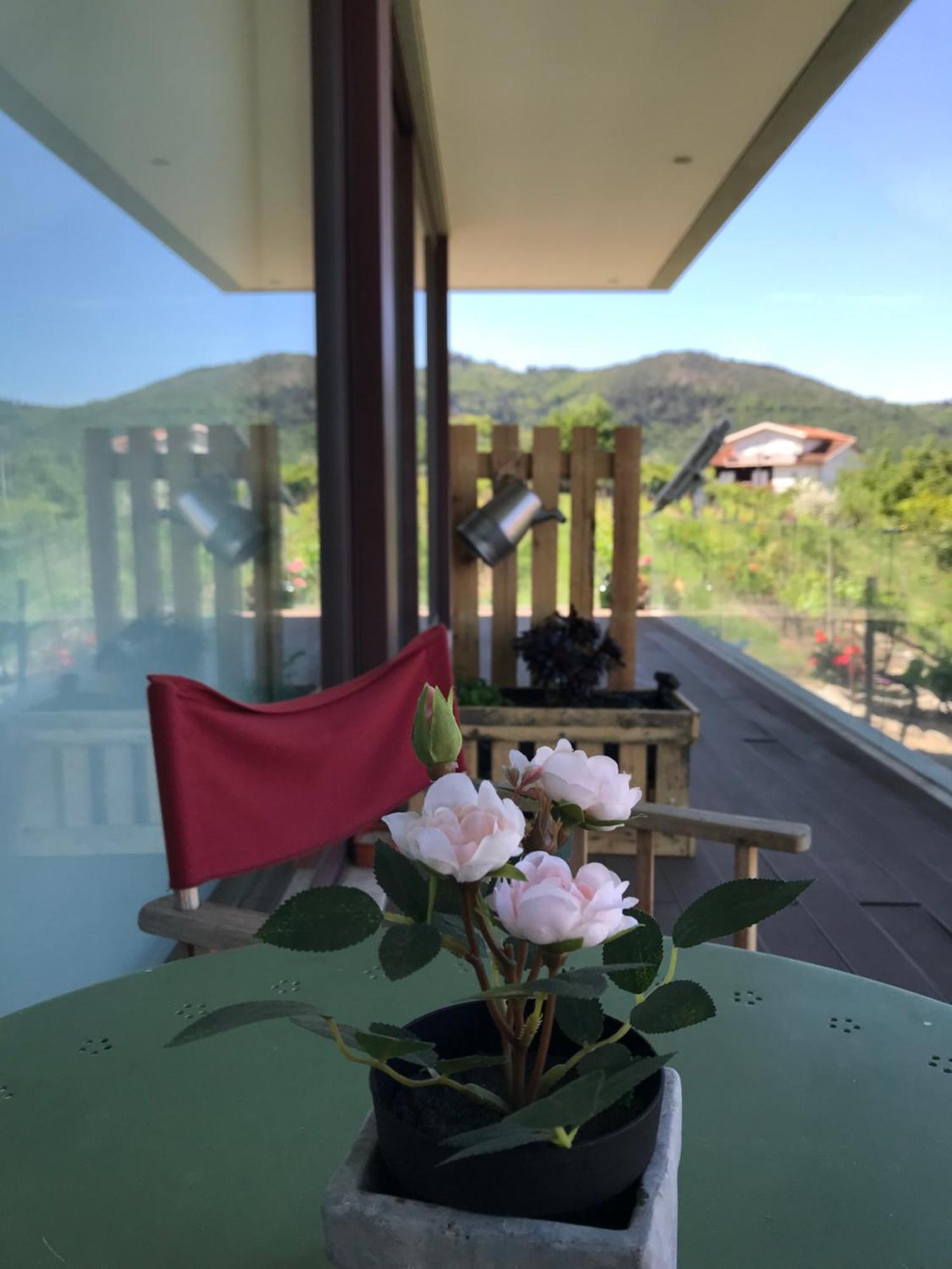Hotel Vald'Aregos - Douro Resende Exteriér fotografie