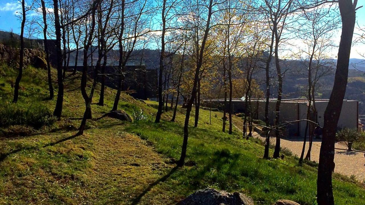 Hotel Vald'Aregos - Douro Resende Exteriér fotografie