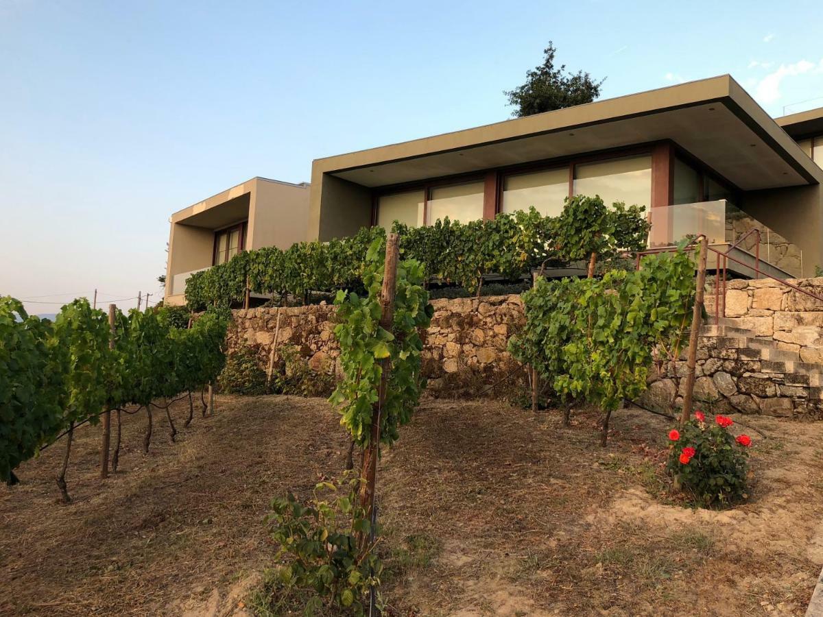 Hotel Vald'Aregos - Douro Resende Exteriér fotografie