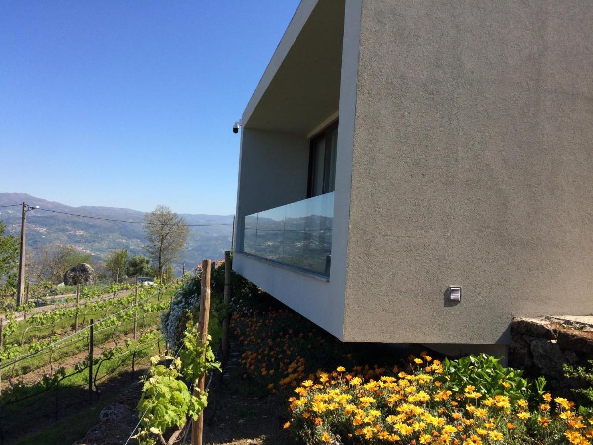 Hotel Vald'Aregos - Douro Resende Exteriér fotografie